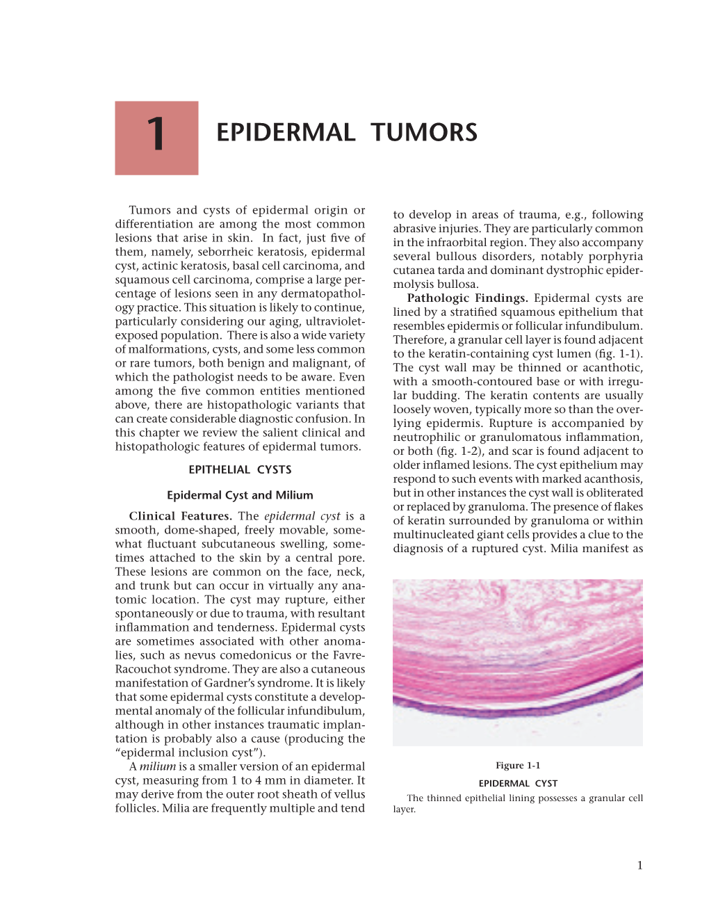 Epidermal Tumors