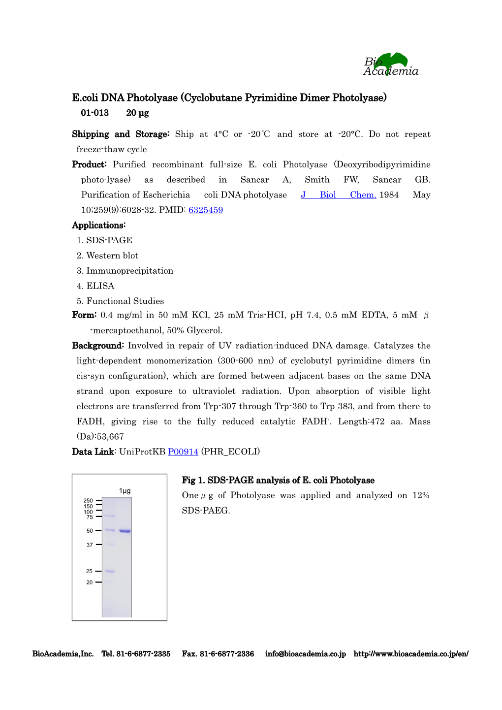 E.Coli DNA Photolyase (Cyclobutane Pyrimidine Dimer Photolyase) 01-013 20 Μg