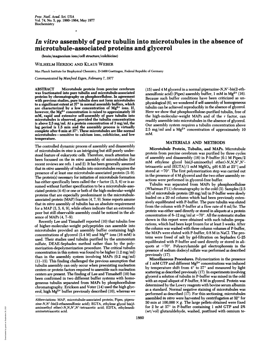 Microtubule-Associated Proteins and Glycerol