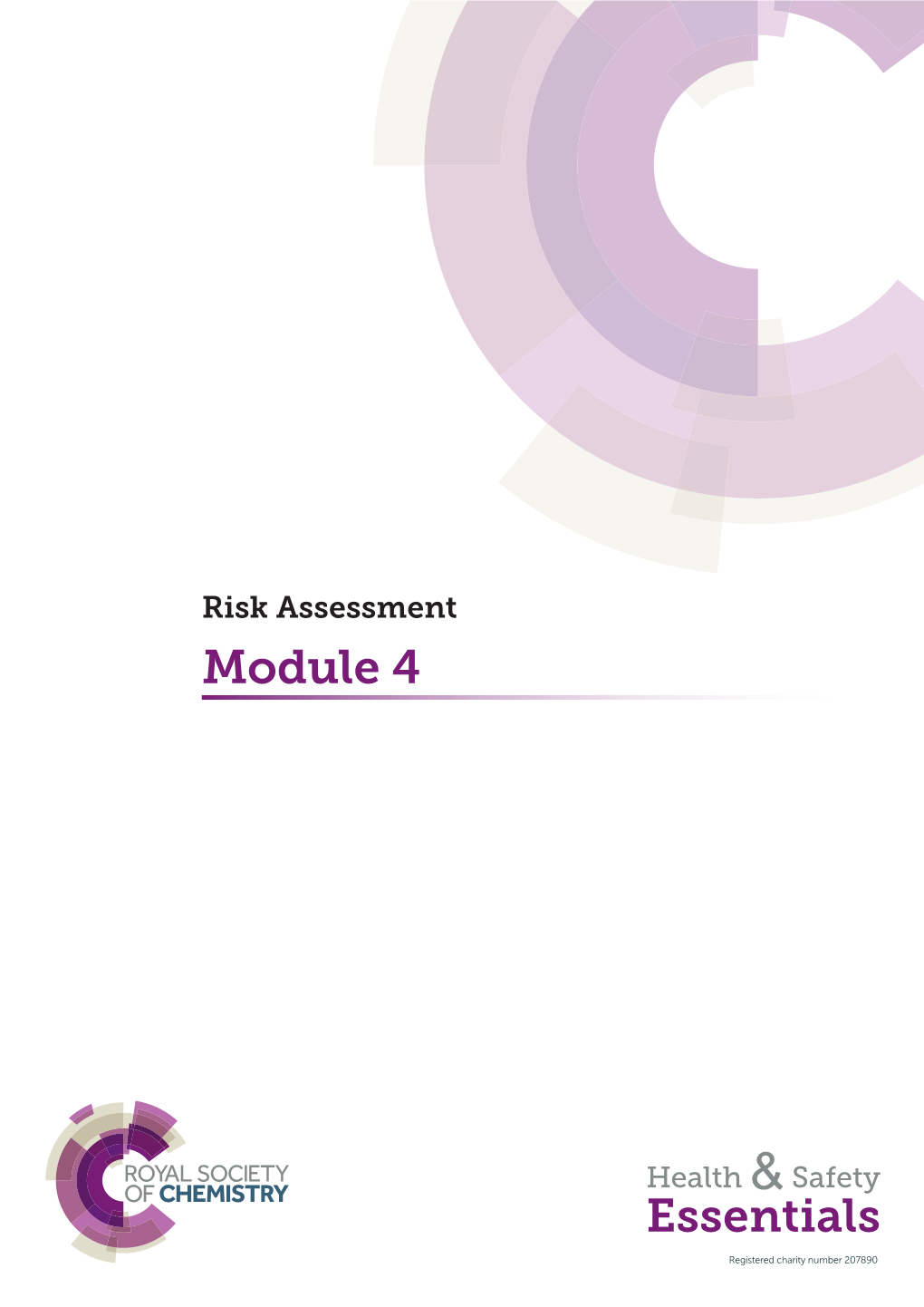 Risk Assessment Module 4