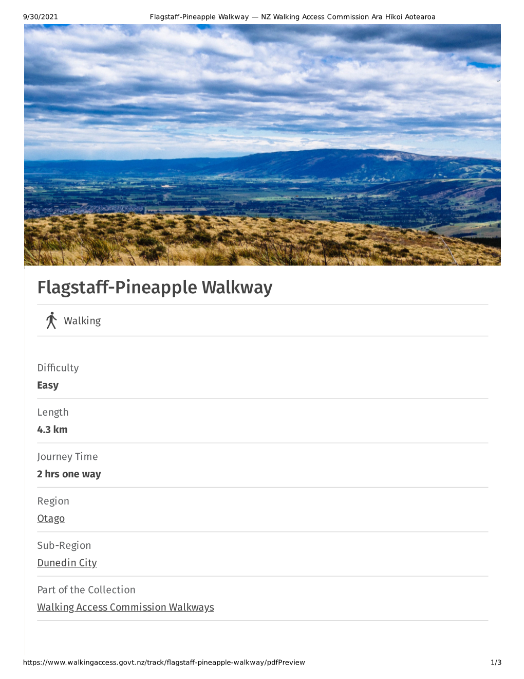 Flagstaff-Pineapple Walkway