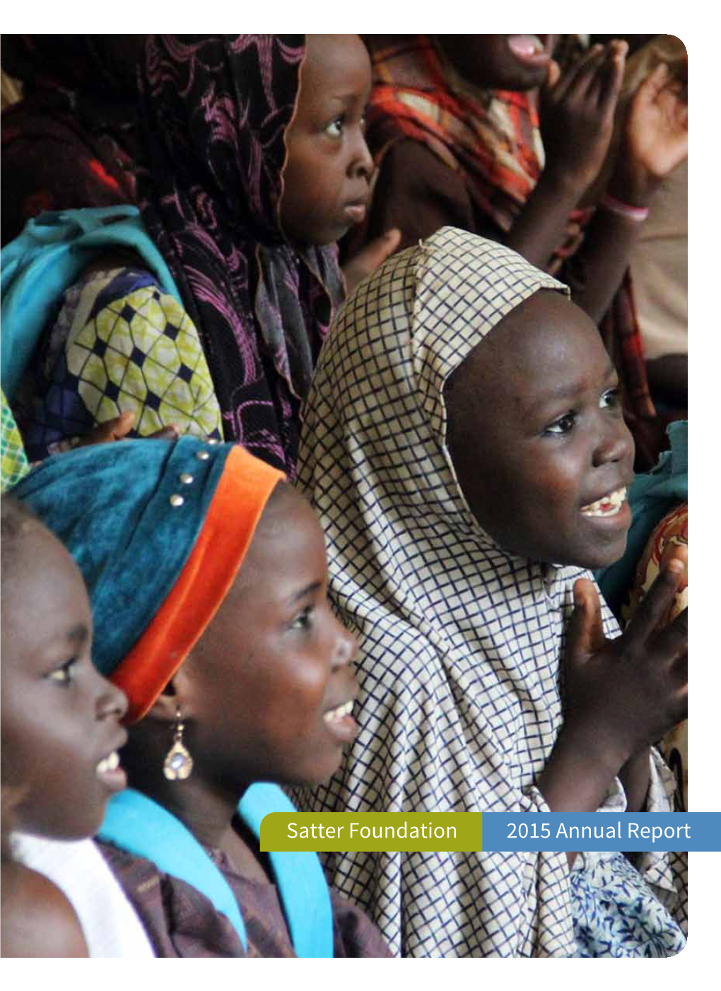 2015 Annual Report Satter Foundation