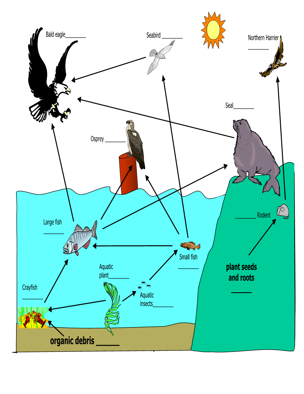 Food Webs, Bioaccumulation, and Visualizing Data