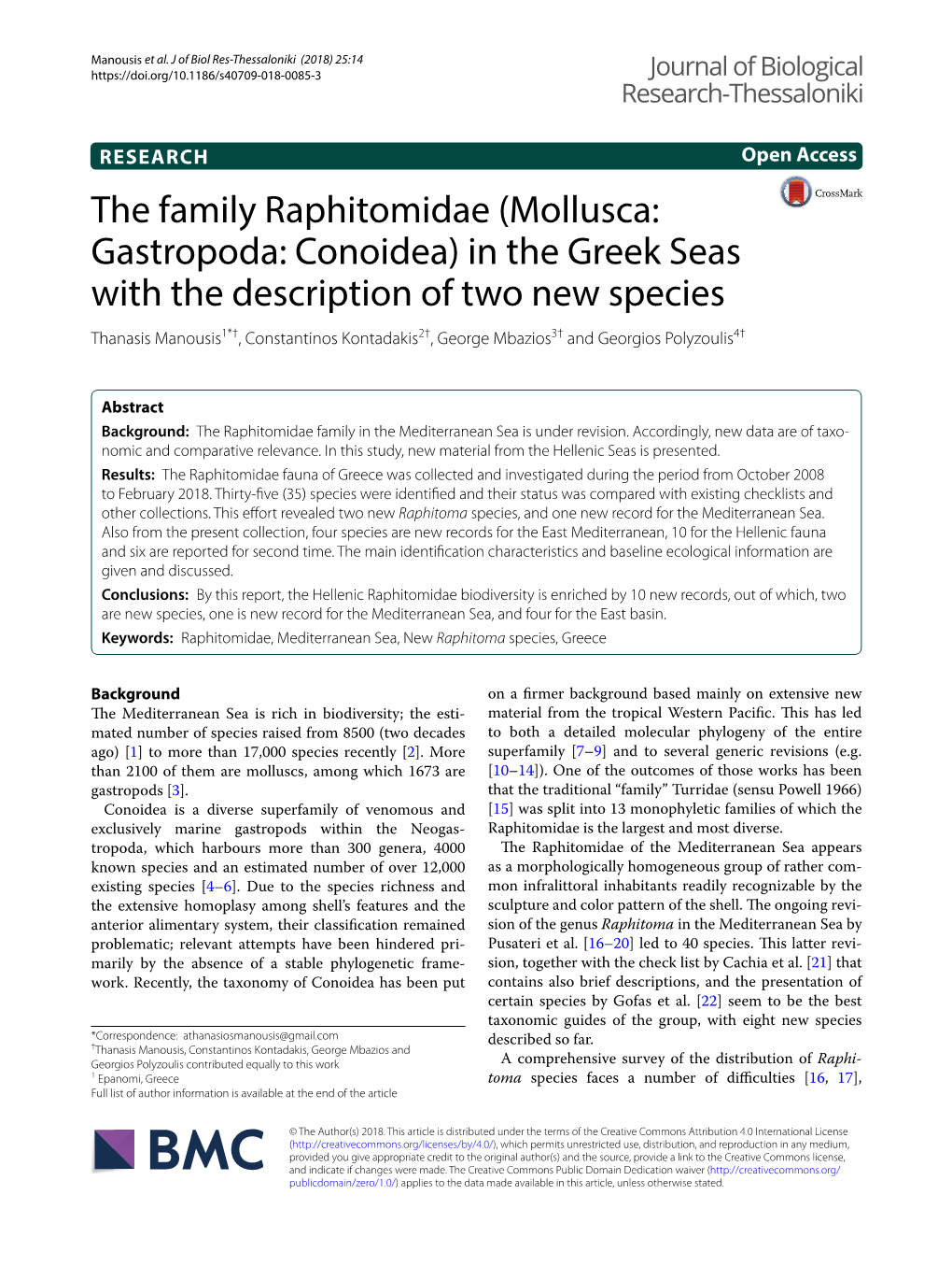 The Family Raphitomidae