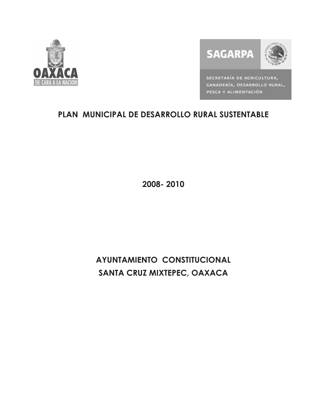 2010 Ayuntamiento Constitucional Santa Cruz