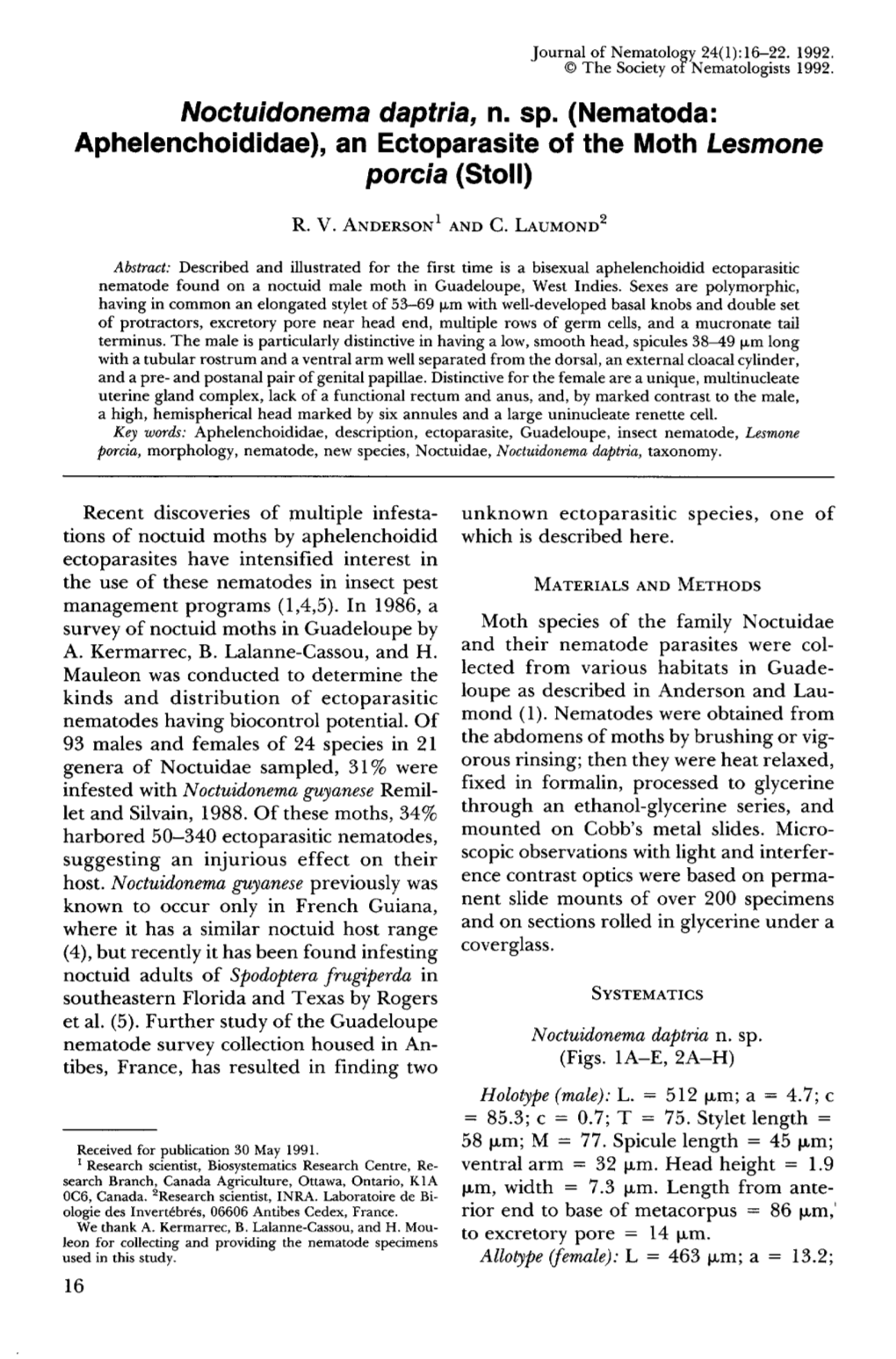 Nematoda: Aphelenchoididae), an Ectoparasite of the Moth Lesmone Porcia (Stoll)