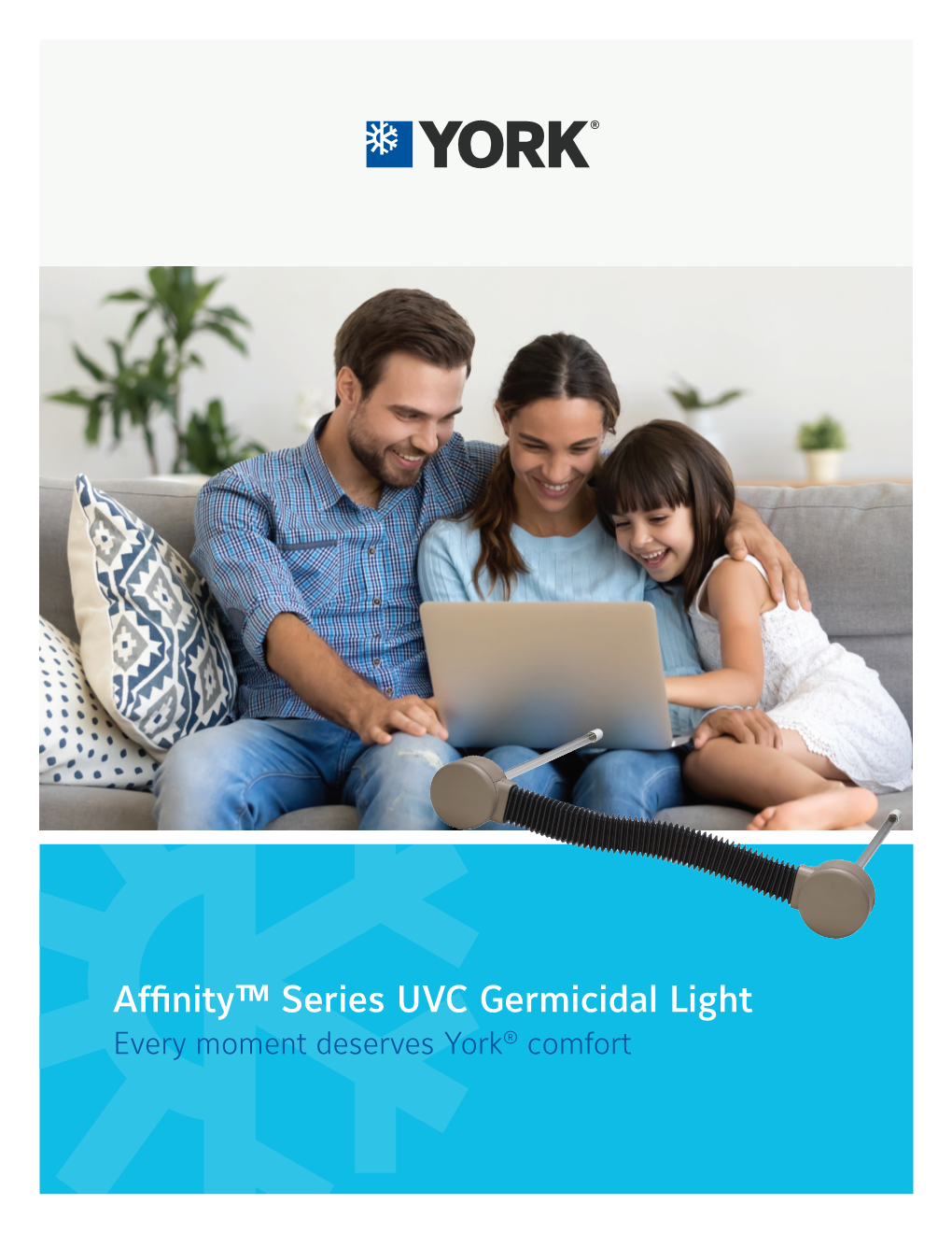 Affinity™ Series UVC Germicidal Light
