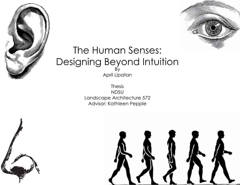 The Human Senses: Designing Beyond Intuition by April Lipatan