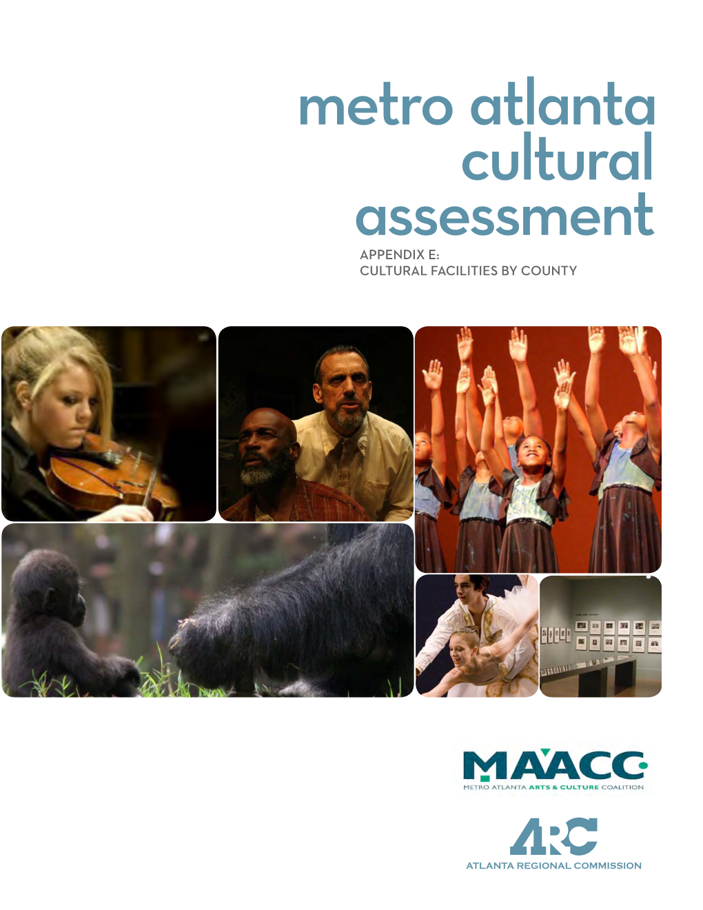 Metro Atlanta Cultural Assessment APPENDIX E: CULTURAL FACILITIES by COUNTY