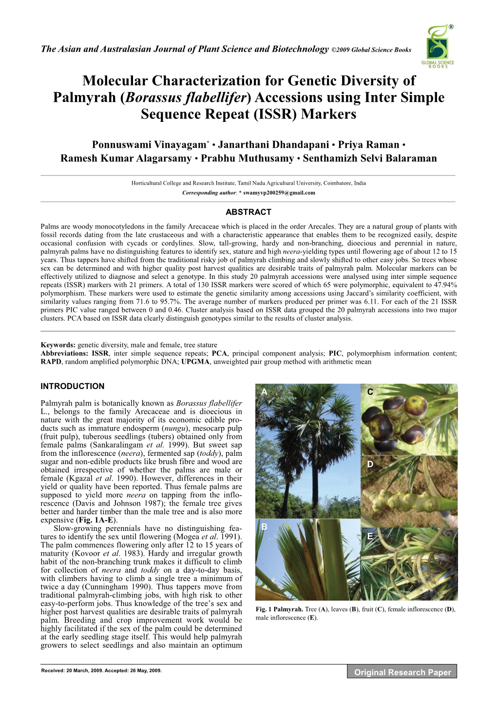 Borassus Flabellifer) Accessions Using Inter Simple Sequence Repeat (ISSR) Markers