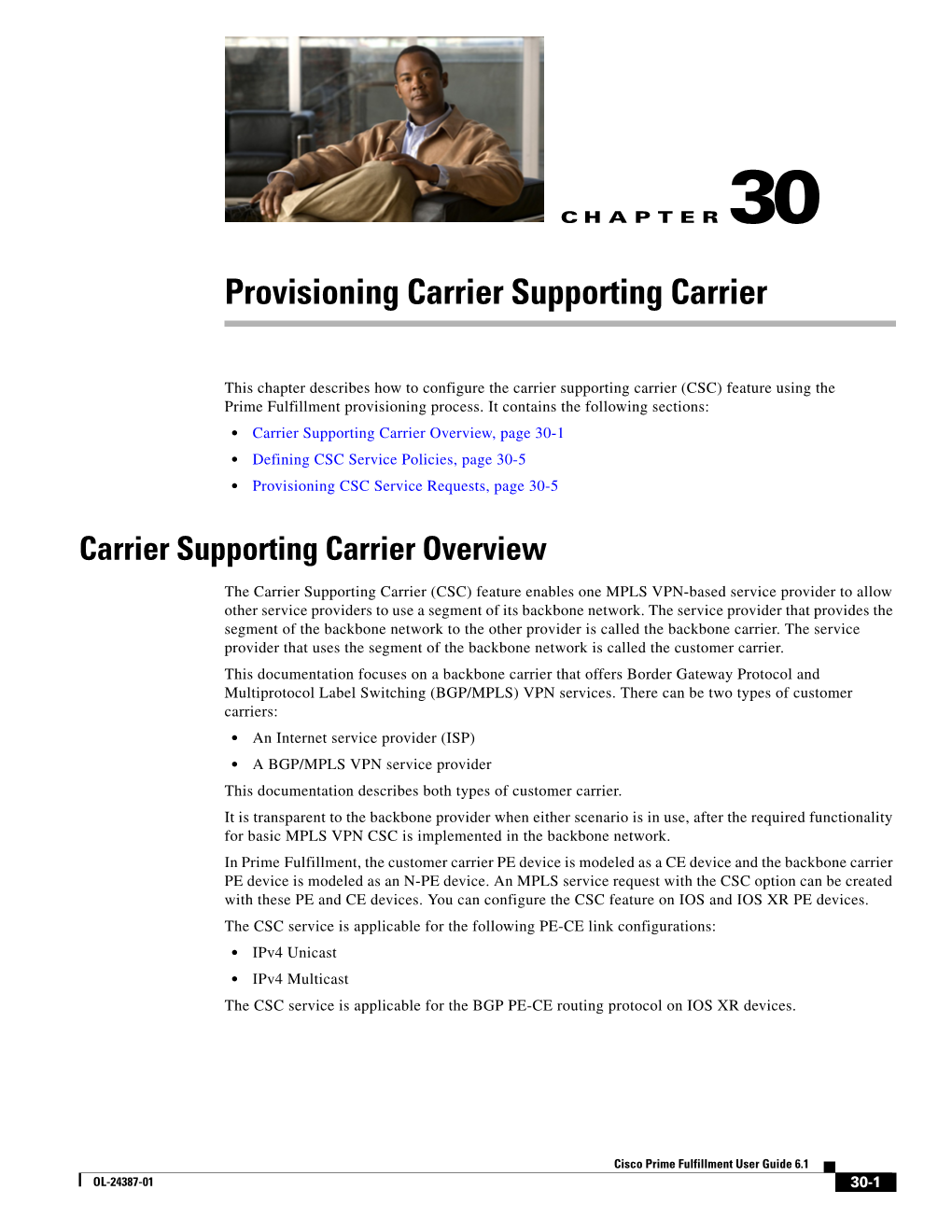 Chapter 30, “Provisioning Carrier Supporting Carrier.”