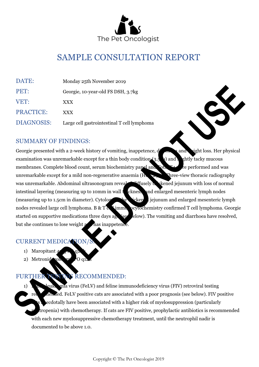 Sample Consultation Report