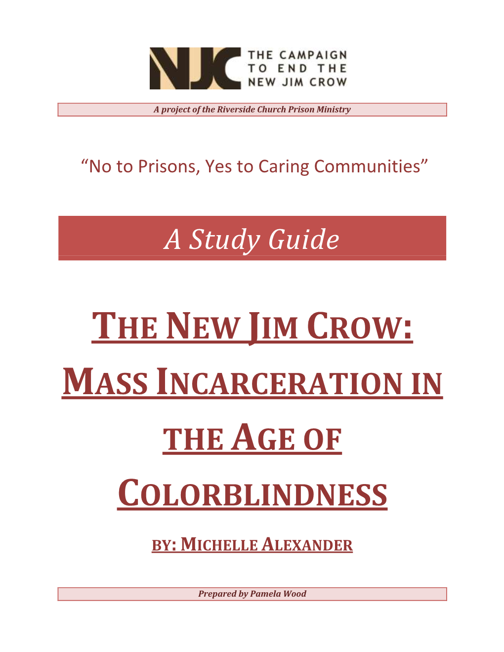 Study Guide for the New Jim Crow