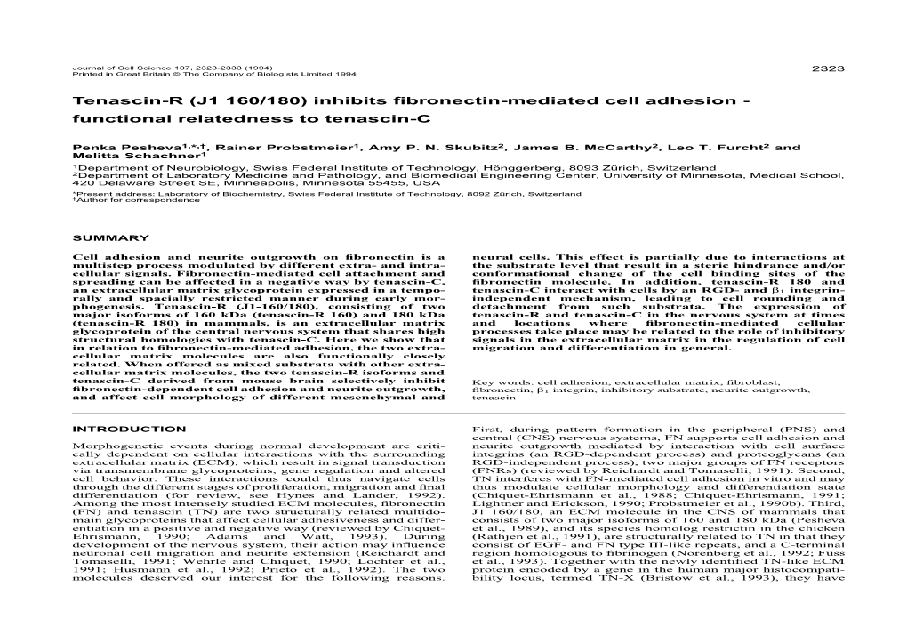 Tenascin-R (J1 160/180) Inhibits Fibronectin-Mediated Cell Adhesion