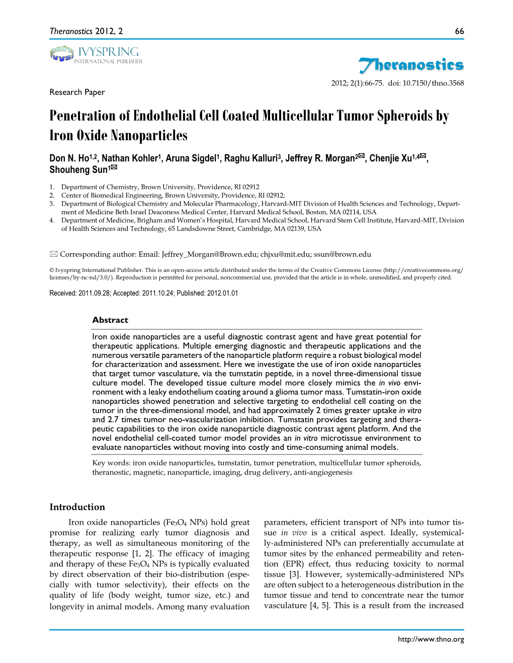 Penetration of Endothelial Cell Coated Multicellular Tumor Spheroids by Iron Oxide Nanoparticles Don N