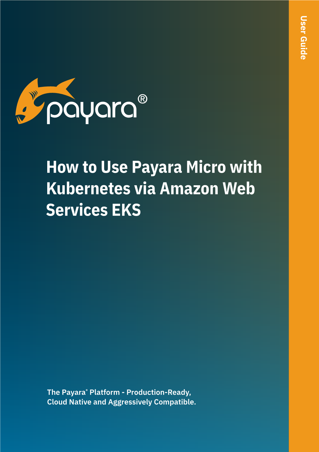 How to Use Payara Micro with Kubernetes Via Amazon Web Services EKS