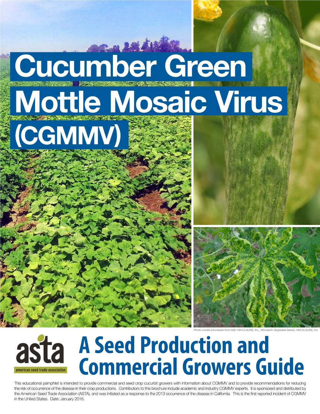 Cucumber Green Mottle Mosaic Virus (CGMMV)
