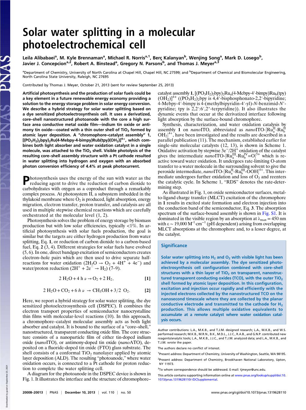 Solar Water Splitting in a Molecular Photoelectrochemical Cell