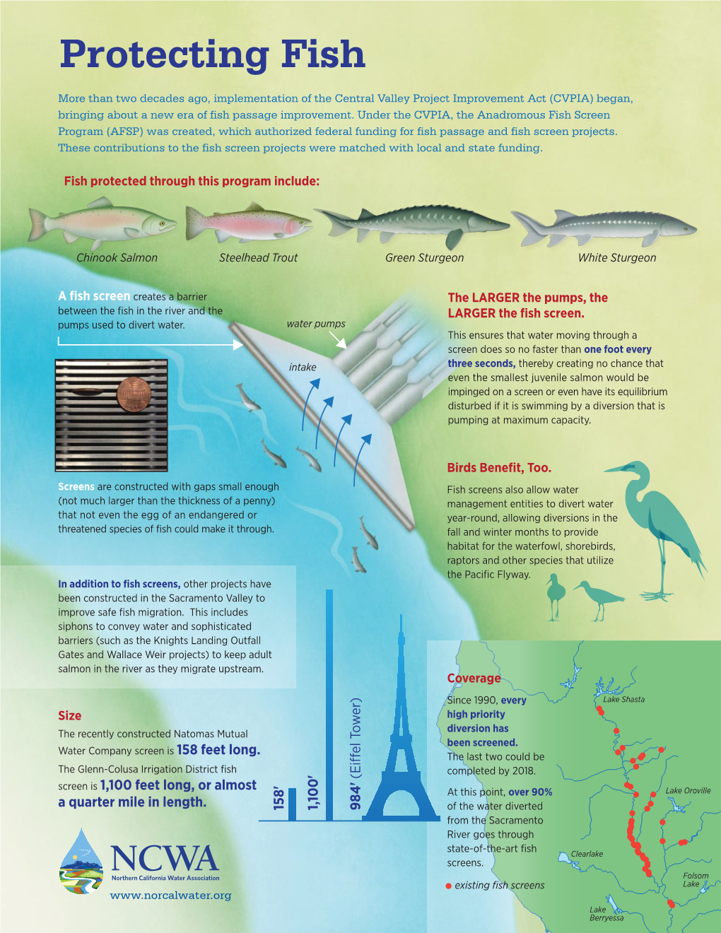 Fish Screen Sheet8