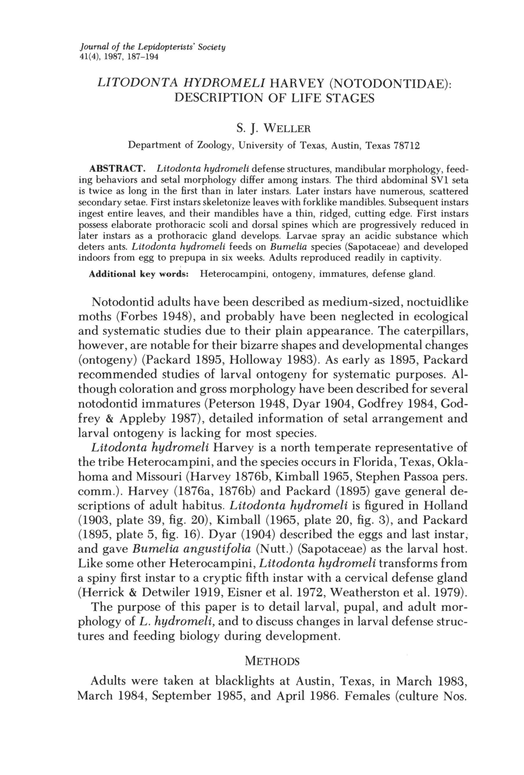 Litodonta Hydromeli Harvey (Notodontidae): Description of Life Stages