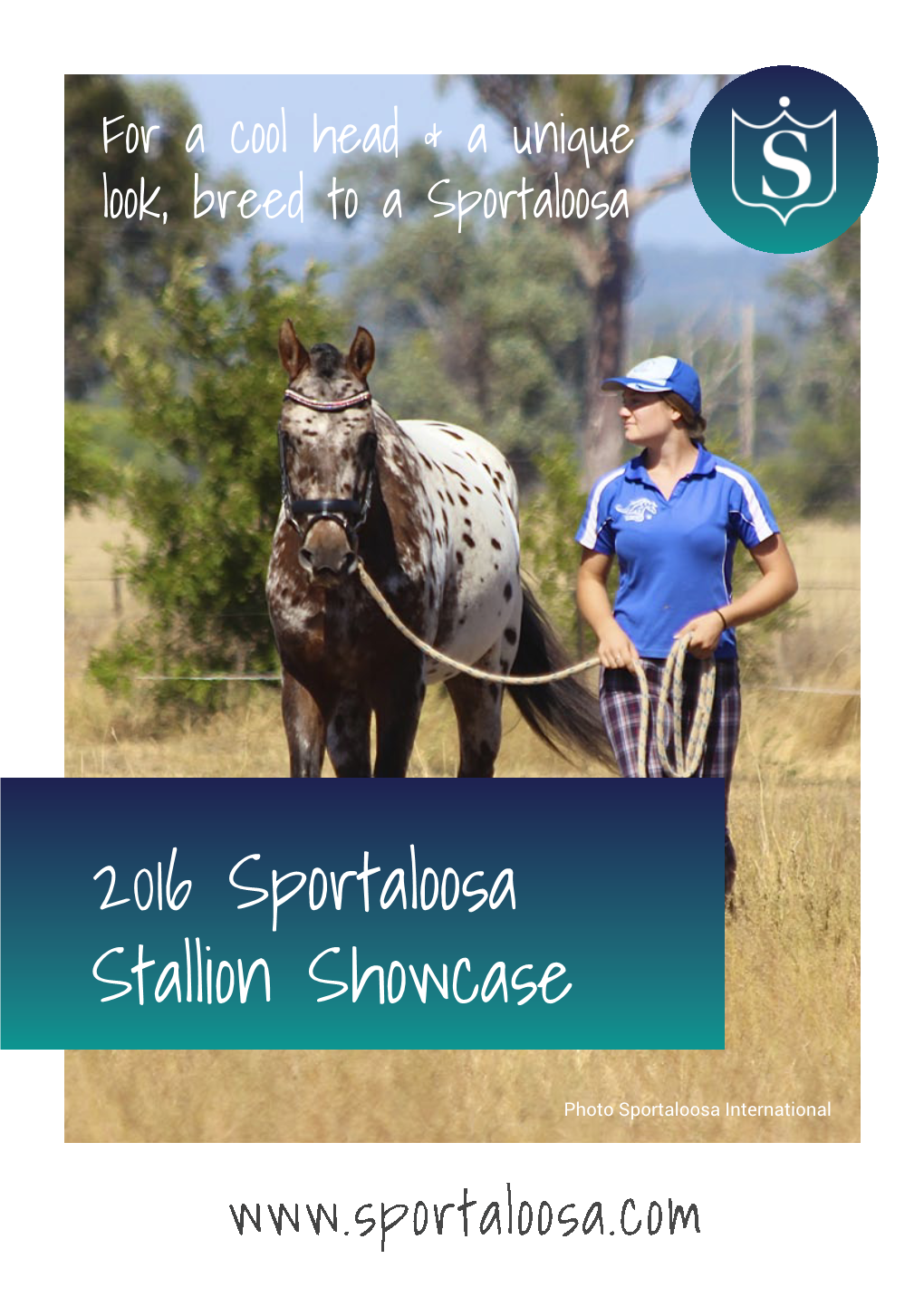 2016 Sportaloosa Stallion Showcase