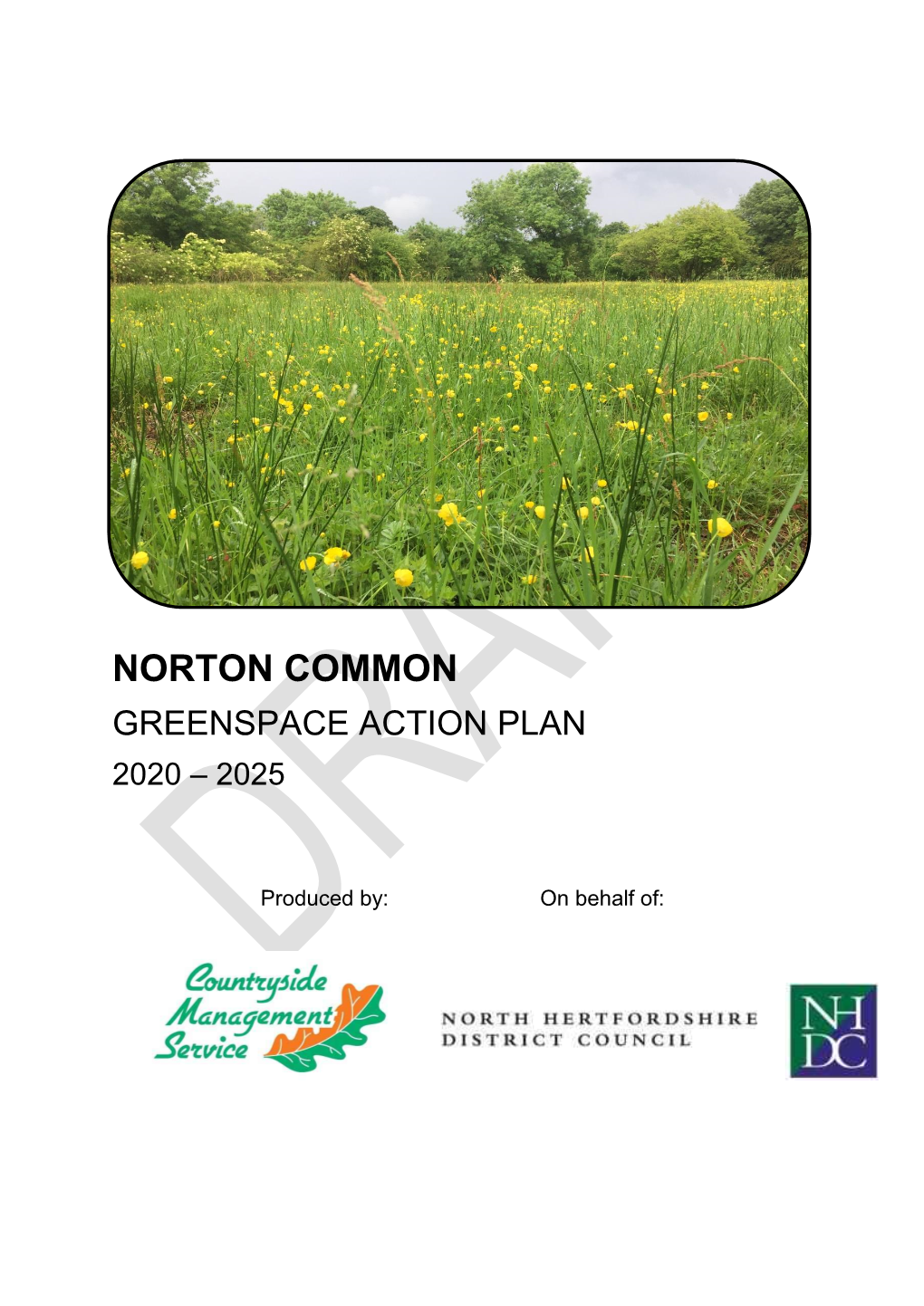 Norton Common Greenspace Action Plan 2020 – 2025