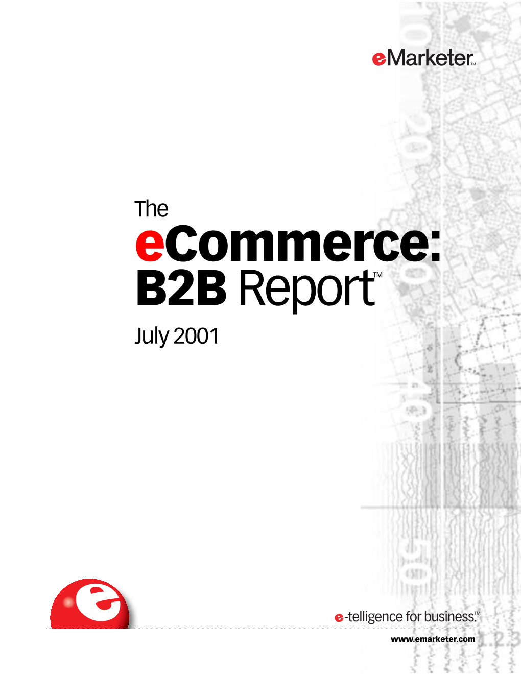 Ecommerce B2B Report July 2001