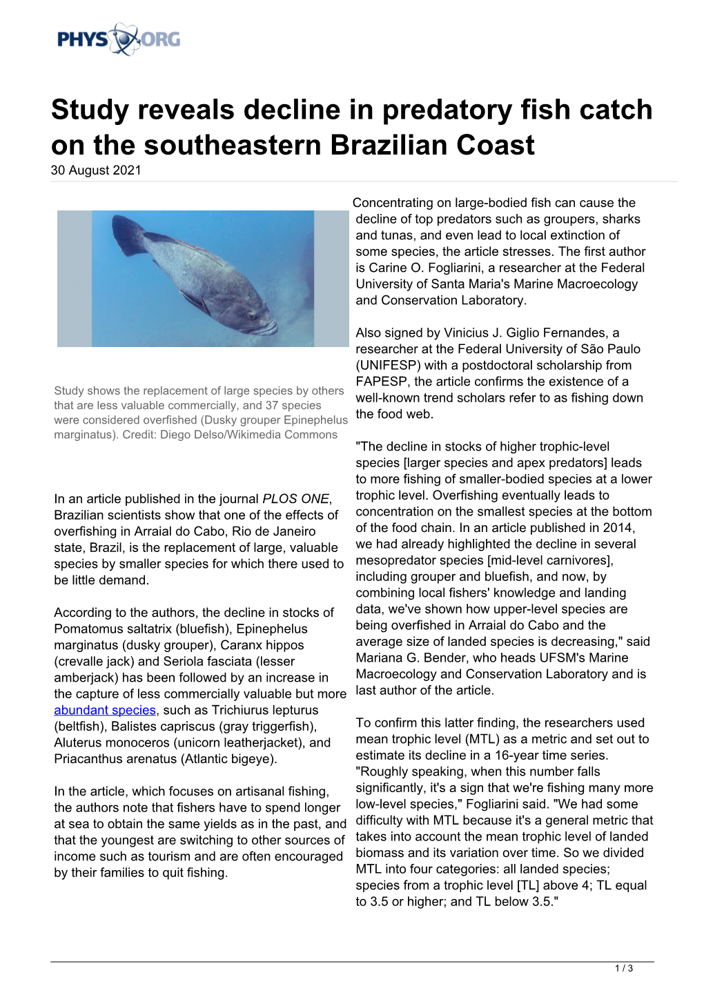 Study Reveals Decline in Predatory Fish Catch on the Southeastern Brazilian Coast 30 August 2021