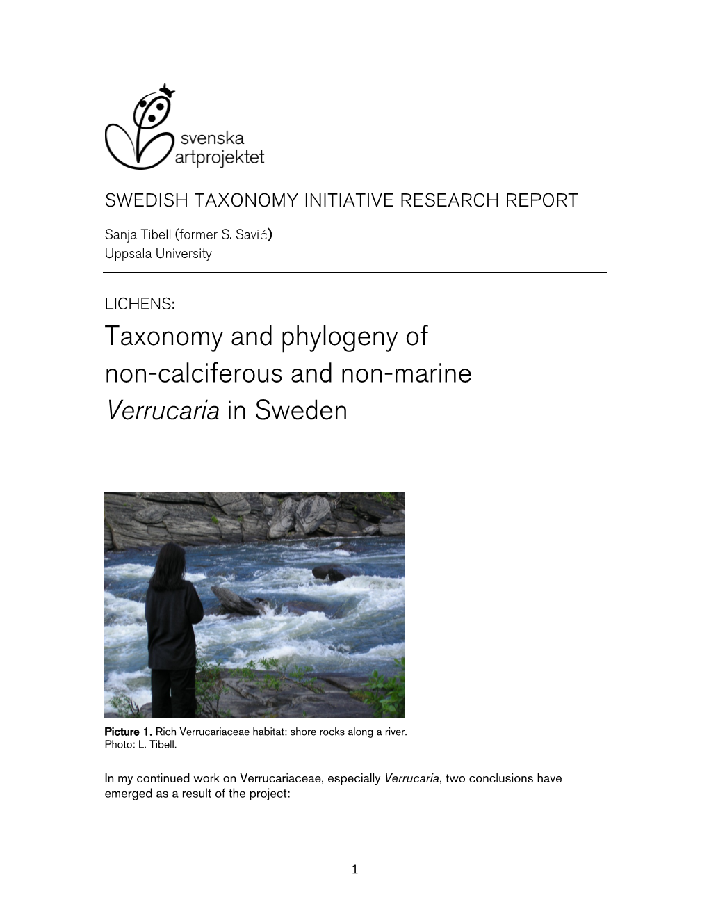 Swedish Taxonomy Initiative Research Report