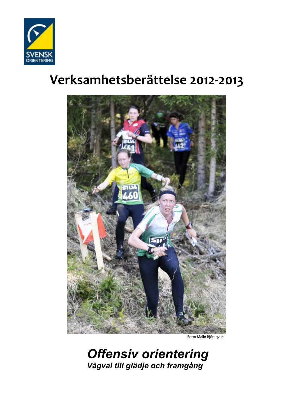 Verksamhetsberättelse 2008