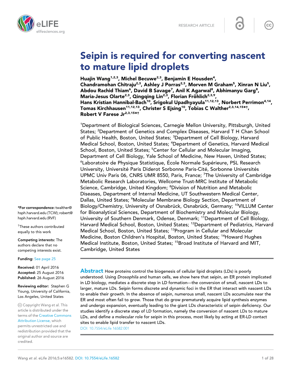 Seipin Is Required for Converting Nascent to Mature Lipid Droplets