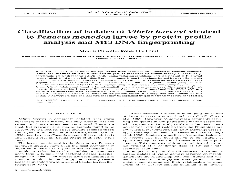 Classification of Isolates of Vibrio Harveyi Virulent to Penaeus Monodon Larvae by Protein Profile Analysis and M13 DNA Fingerprinting