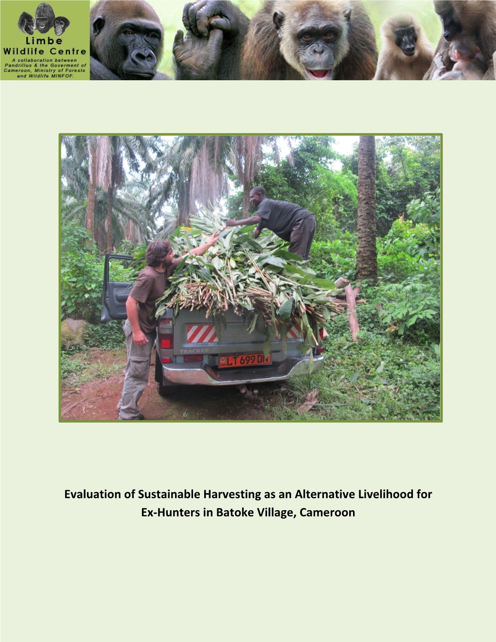 Evaluation of Sustainable Harvesting As an Alternative Livelihood for Ex-Hunters in Batoke Village, Cameroon