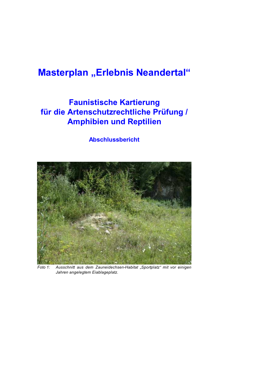 Masterplan „Erlebnis Neandertal“