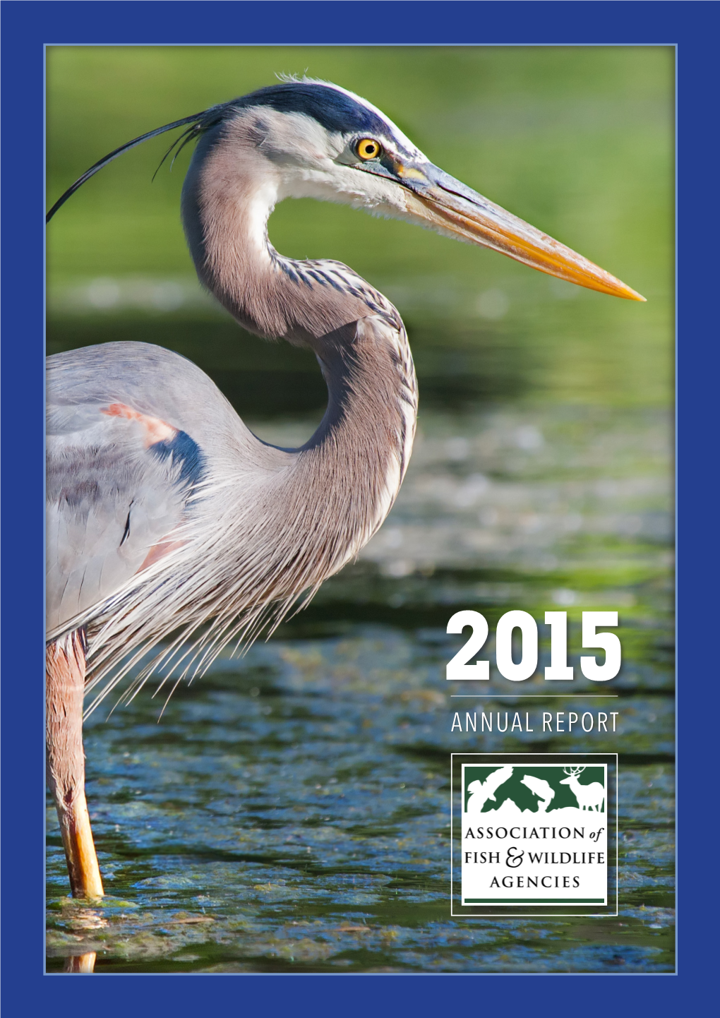 2015 Annual Report