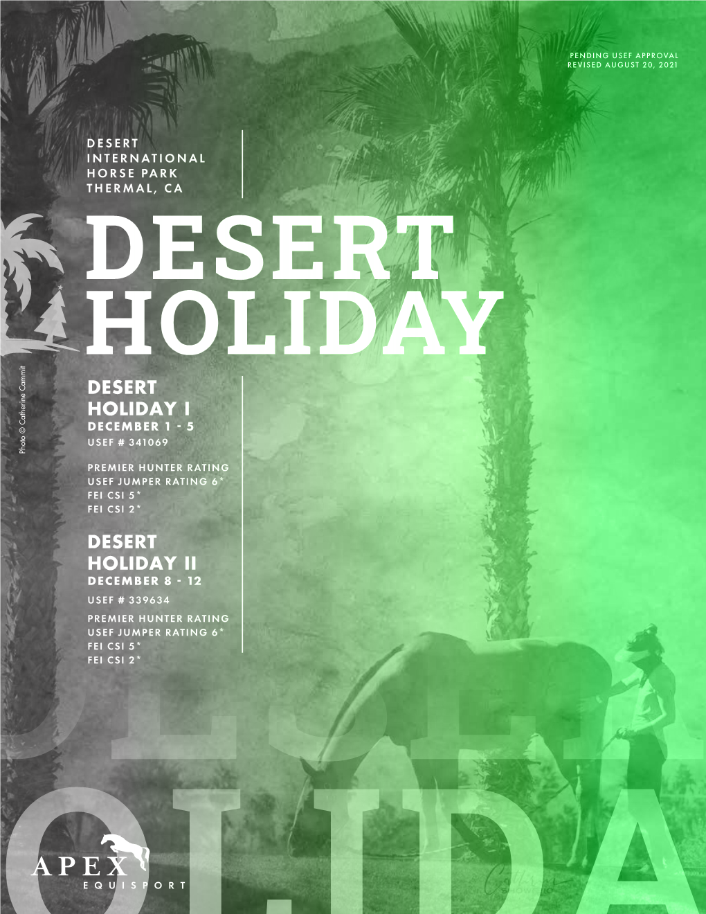 Desert Holiday I December 1 - 5 Usef # 341069