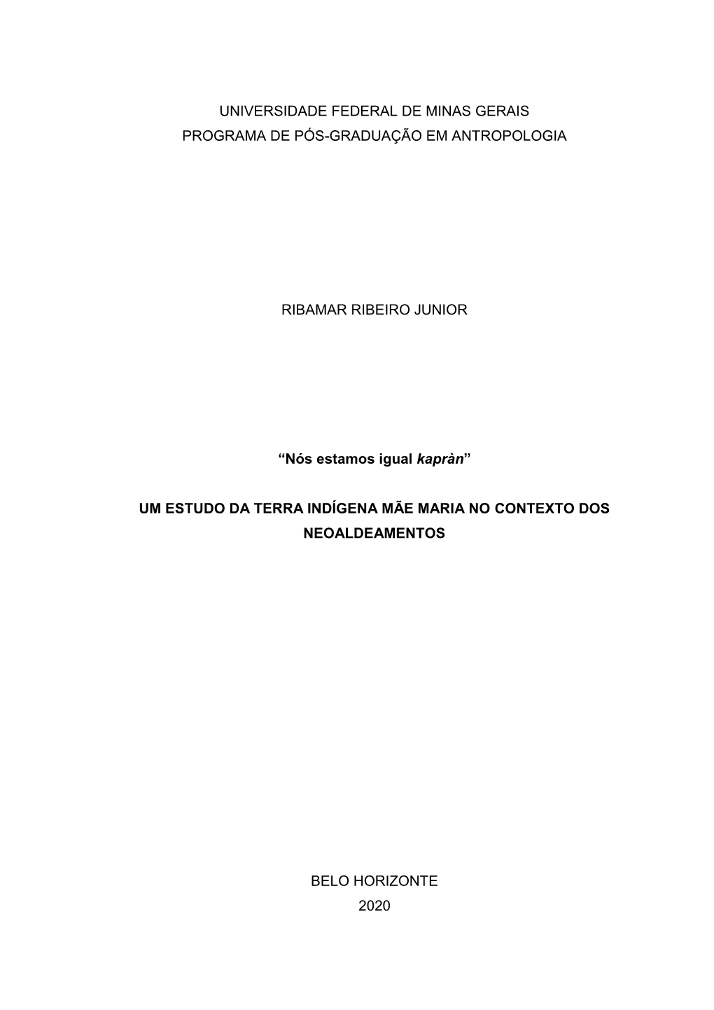 Universidade Federal De Minas Gerais Programa De Pós-Graduação Em Antropologia