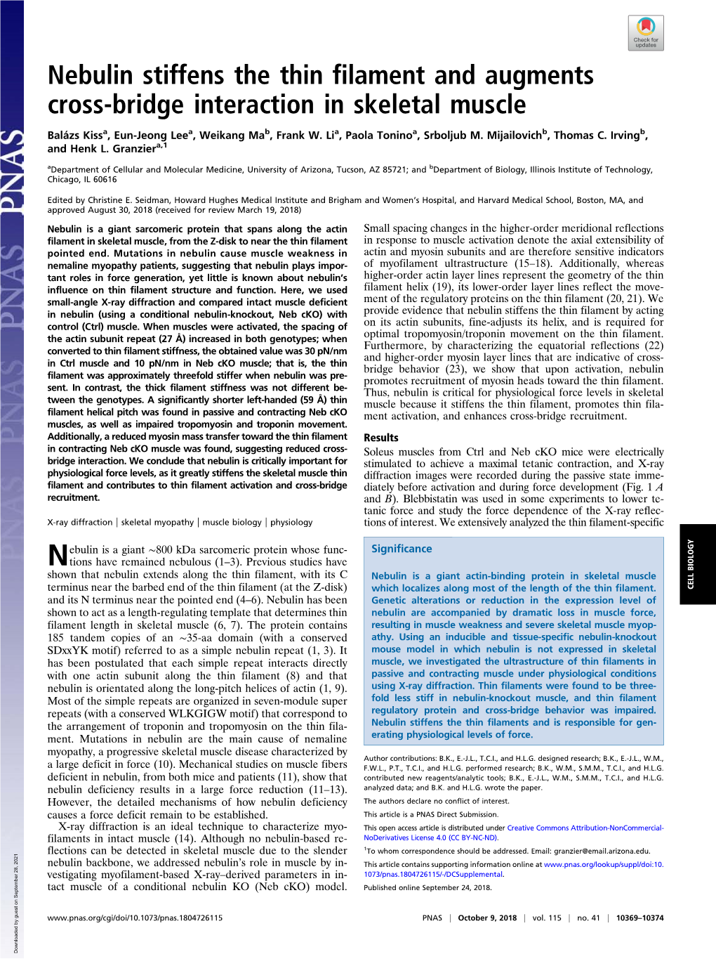 Nebulin Stiffens the Thin Filament and Augments Cross-Bridge Interaction in Skeletal Muscle