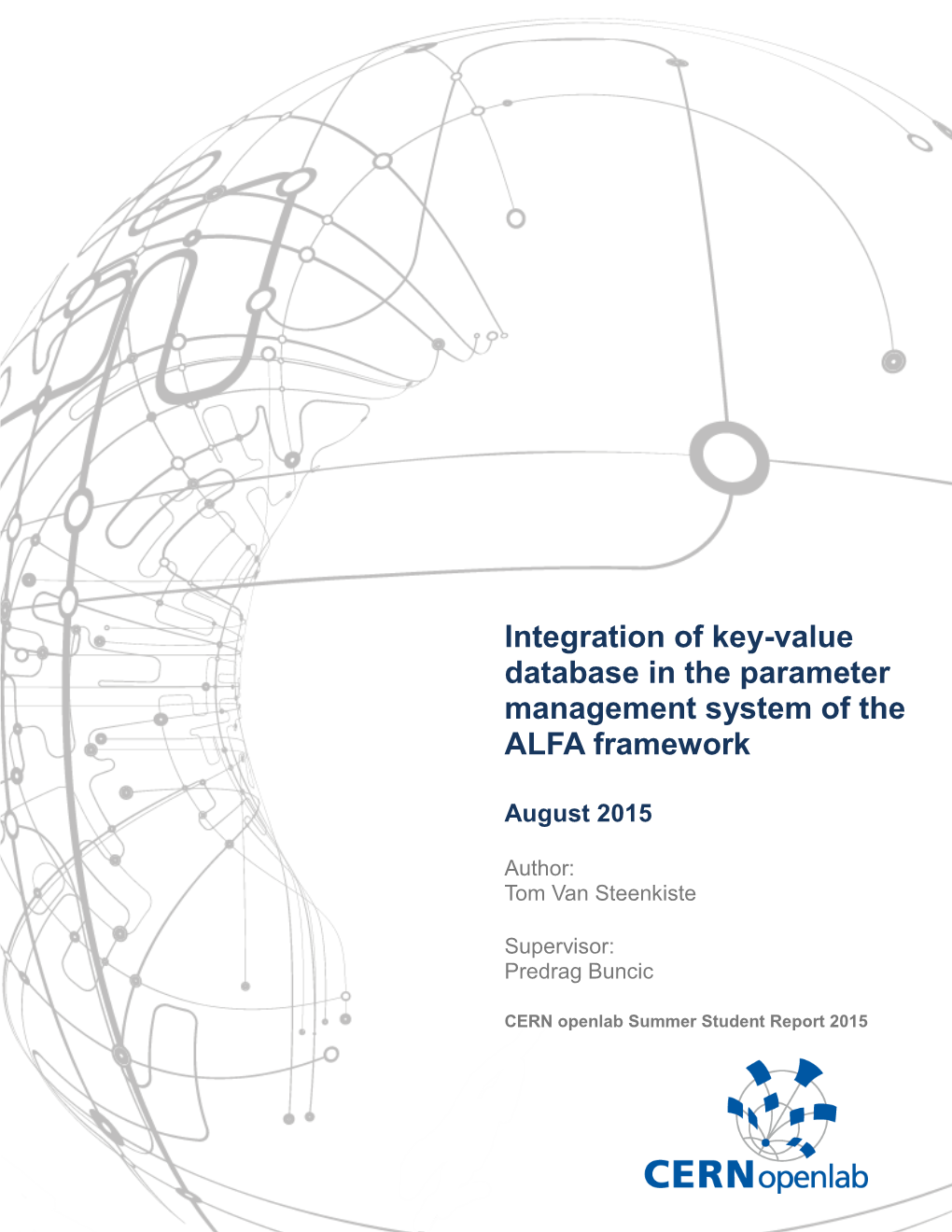 Integration of Key-Value Database in the Parameter Management System of the ALFA Framework