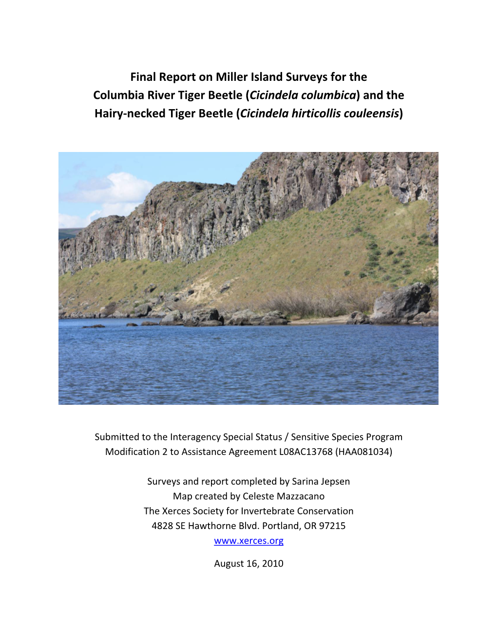 Final Report on Miller Island Surveys for the Columbia River Tiger Beetle (Cicindela Columbica) and the Hairy‐Necked Tiger Beetle (Cicindela Hirticollis Couleensis)