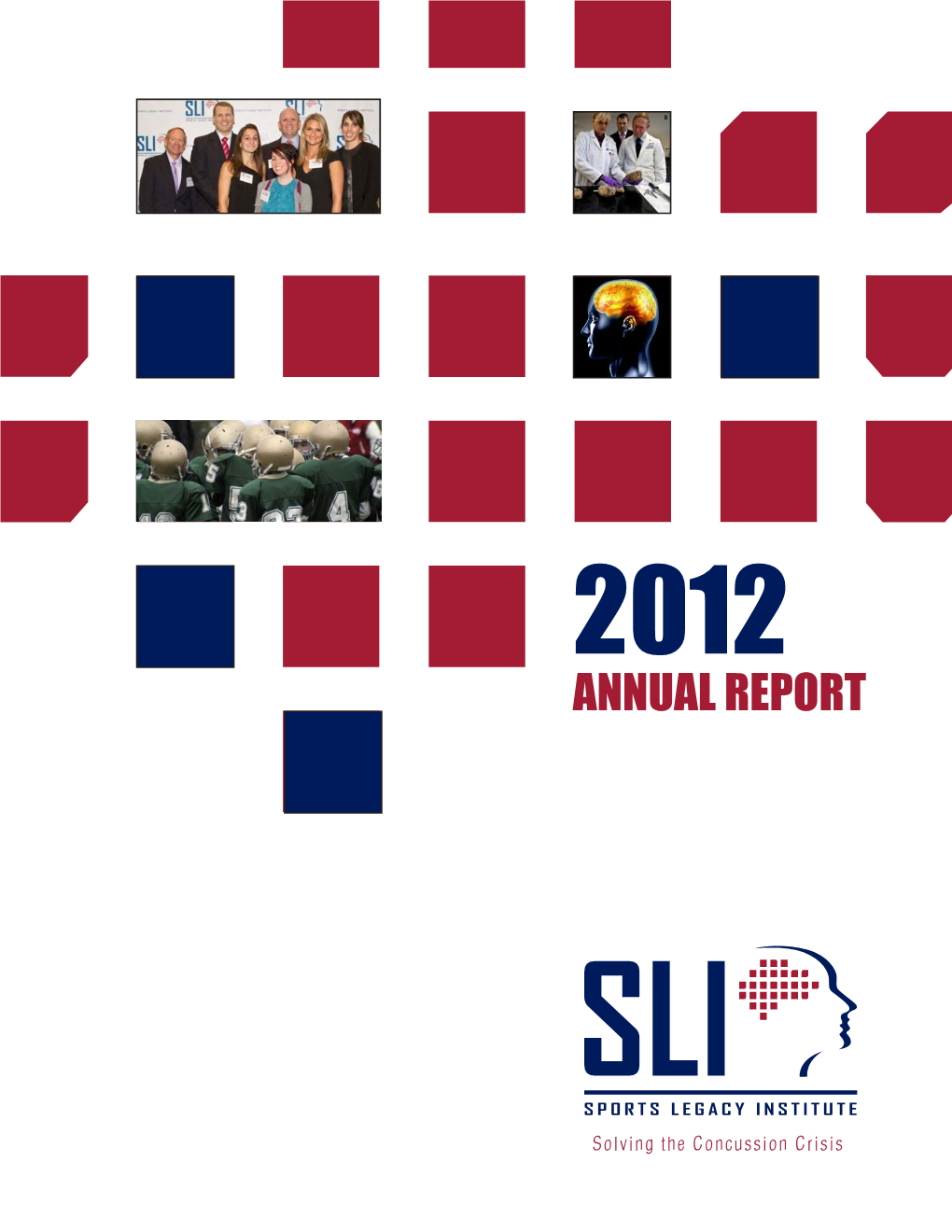 2012 Annual Report