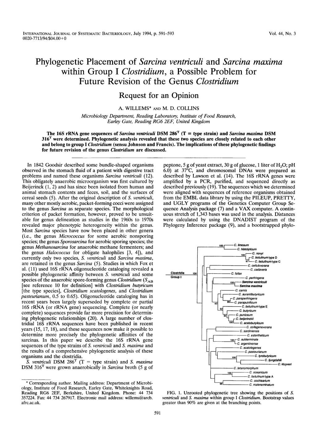 Phylogenetic Placement of Sarcina Ventriculi and Sarcina Maxima