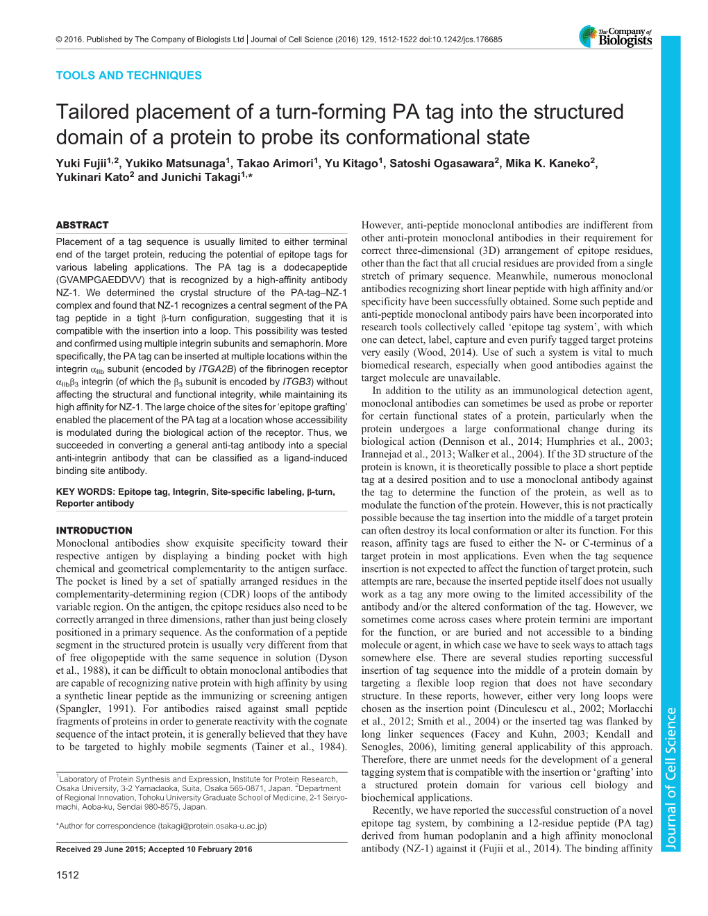 Tailored Placement of a Turn-Forming PA Tag Into the Structured Domain of a Protein to Probe Its Conformational State