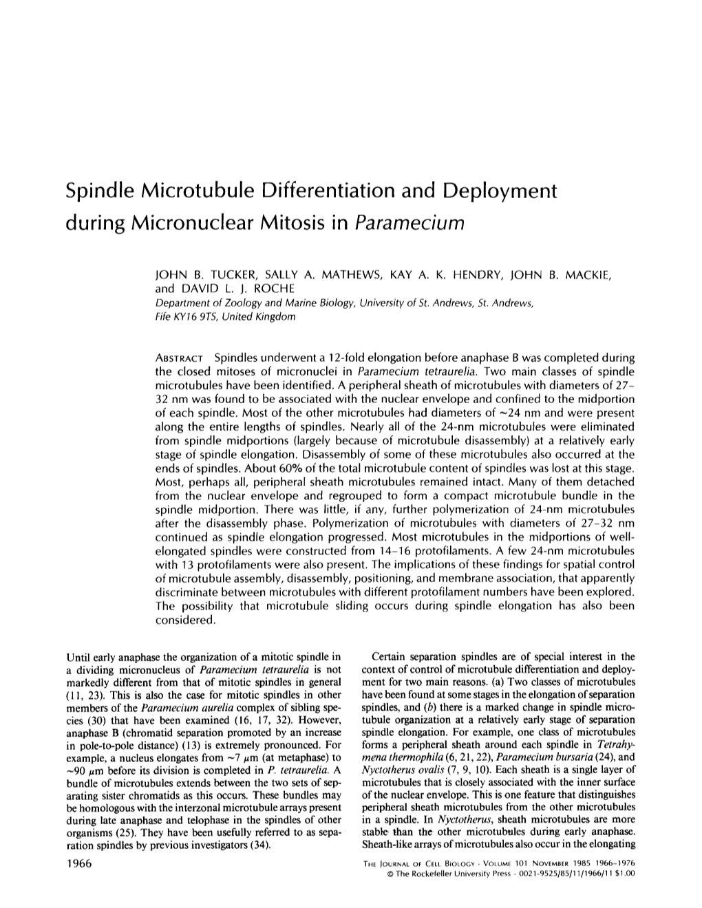 Spindle Microtubule Differentiation and Deployment During Micronuclear Mitosis in Paramecium