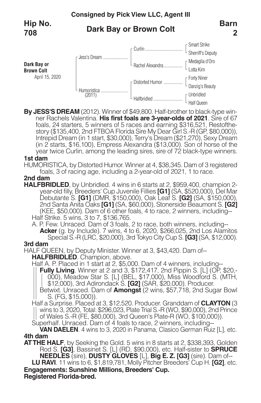 Dark Bay Or Brown Colt Barn 2 Hip No