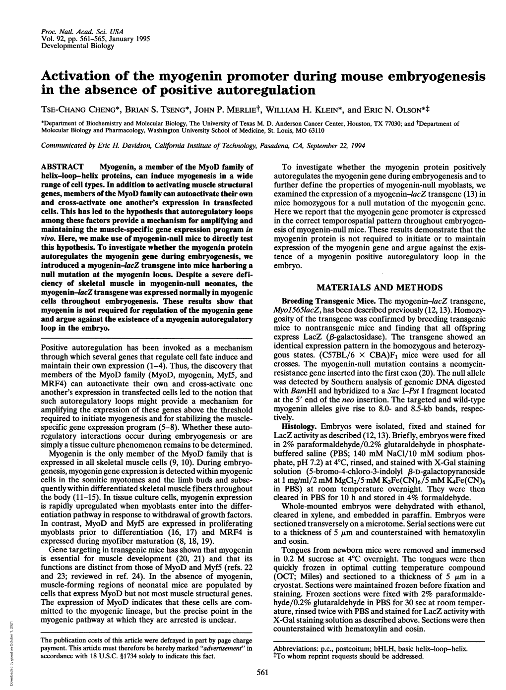 Activation of the Myogenin Promoter During Mouse Embryogenesis in the Absence of Positive Autoregulation TSE-CHANG CHENG*, BRIAN S