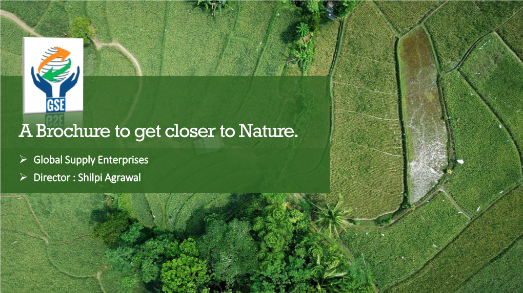 A Brochure to Get Closer to Nature