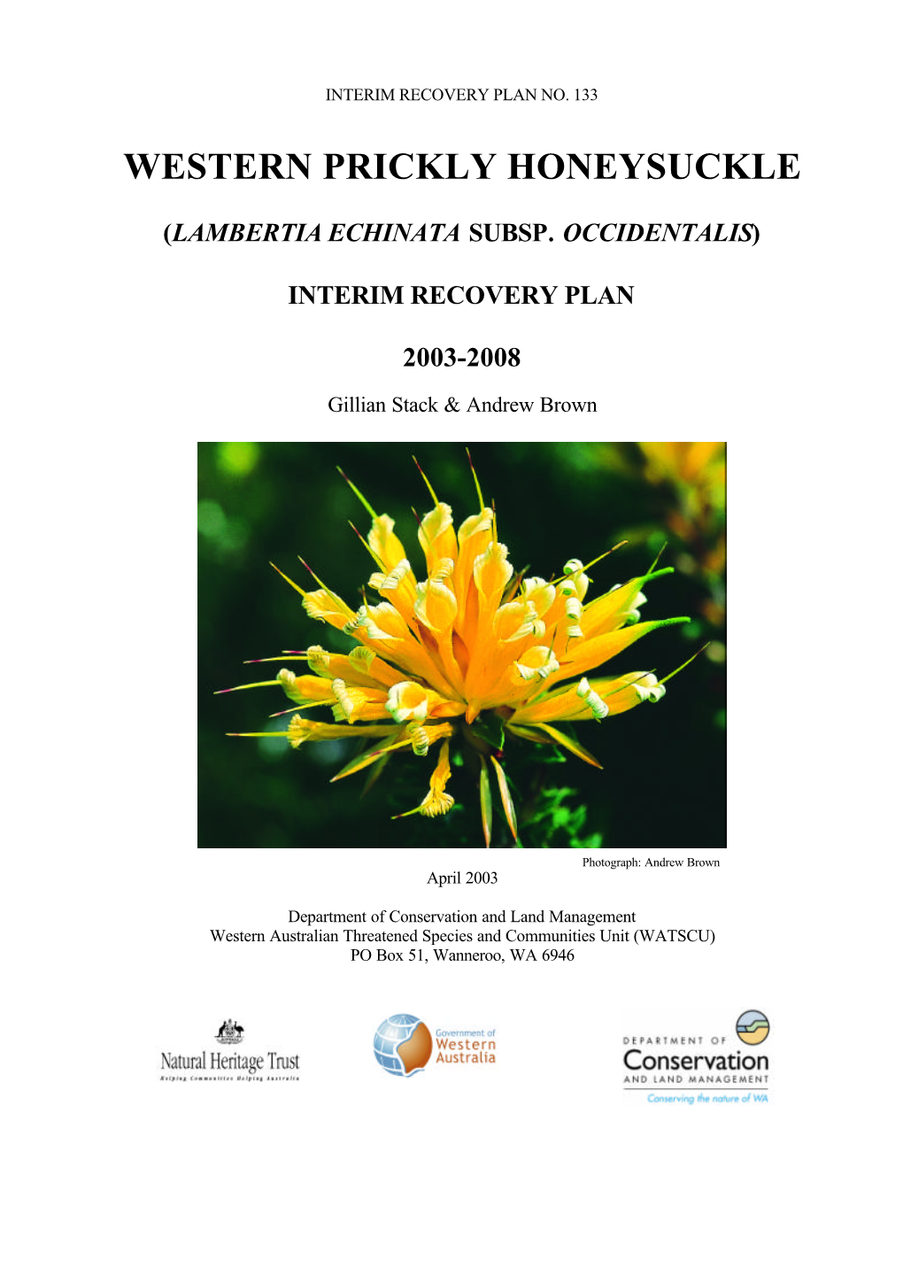 (Lamberta Echinata Subsp. Occidentalis) Interim Recovery Plan