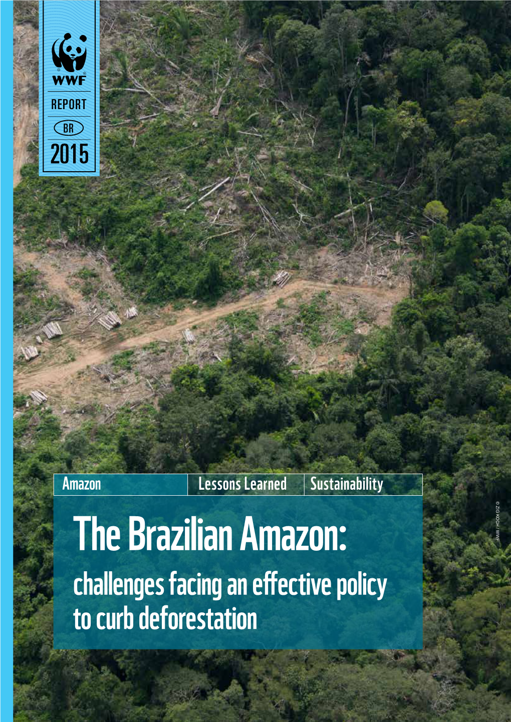 The Brazilian Amazon: Challenges Facing an Effective Policy to Curb Deforestation