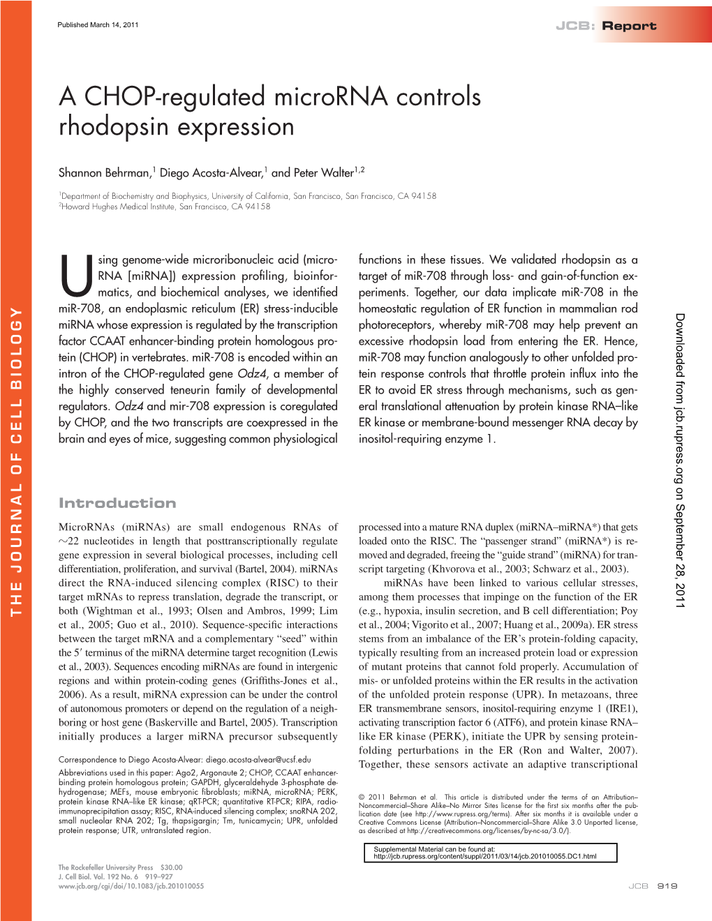 A CHOP-Regulated Microrna Controls Rhodopsin Expression
